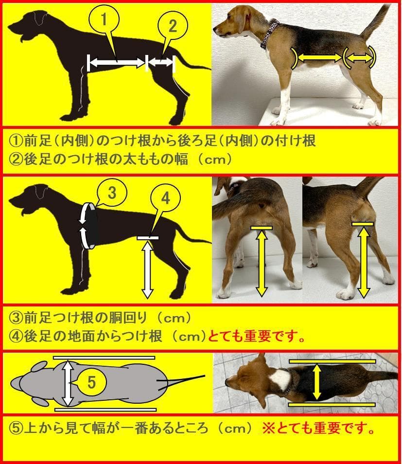 犬用車椅子、柴犬用４輪車、犬の車椅子