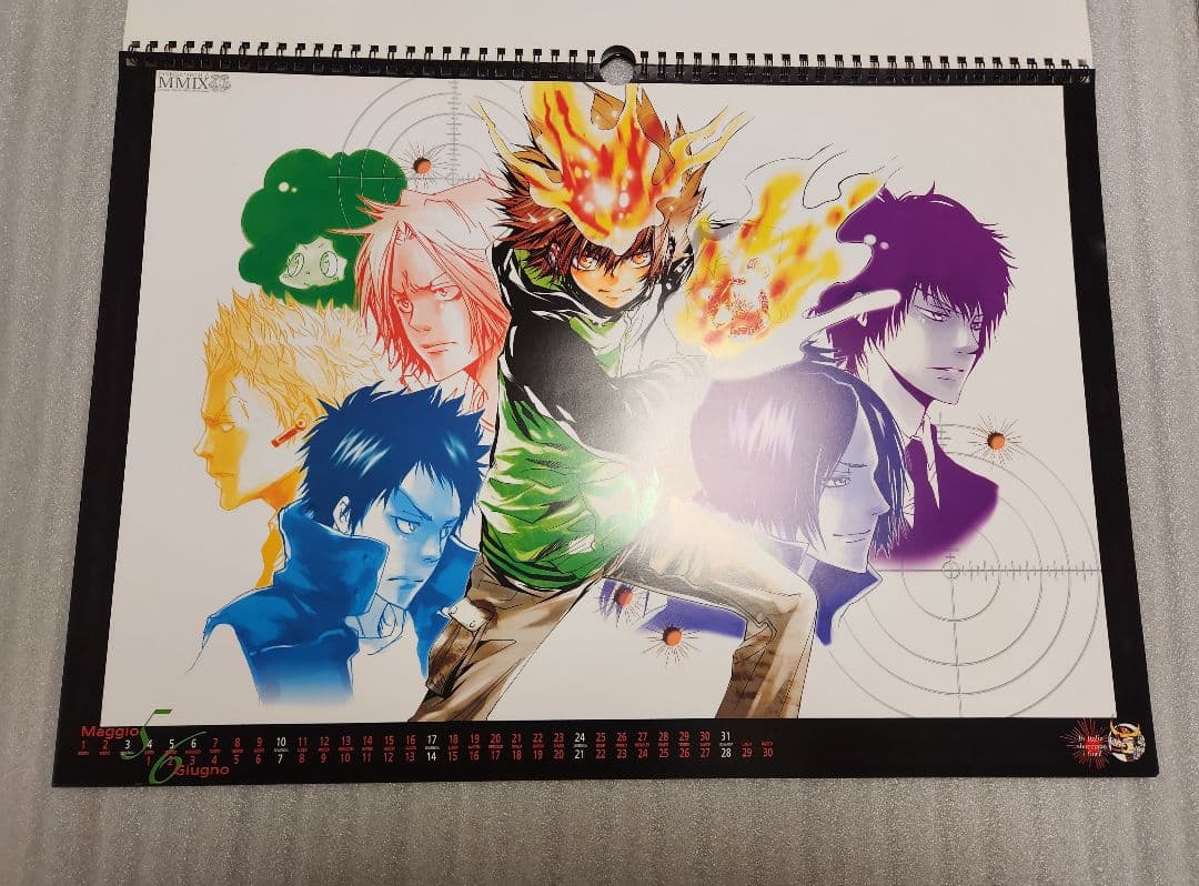 【希少品】家庭教師ヒットマンREBORN 2009年カレンダー