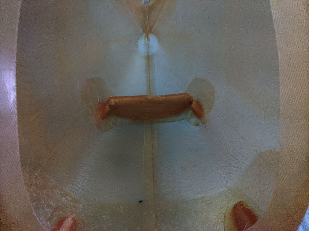 HSモデル　ヒューズ500