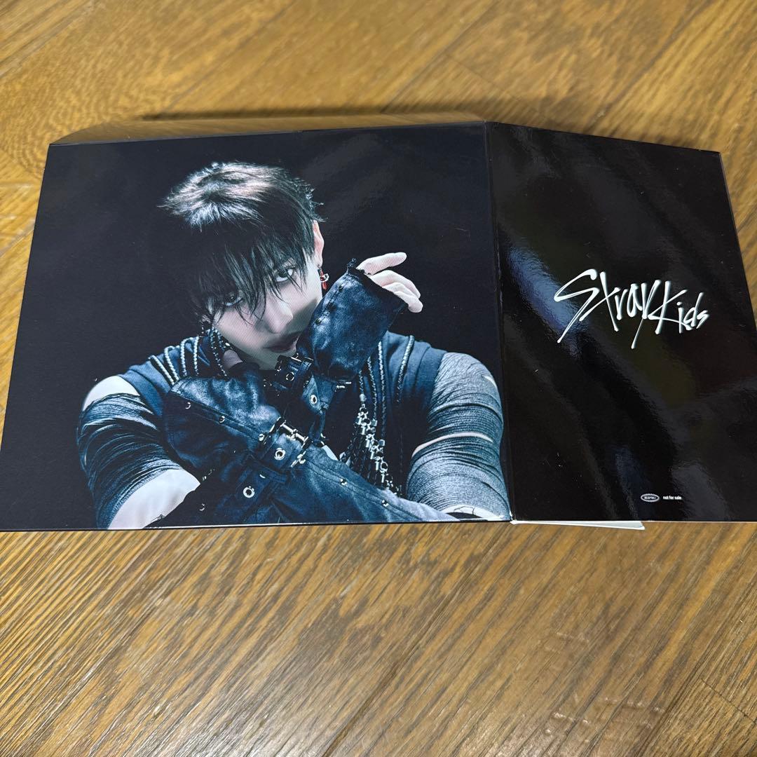 stray kids バンチャン GIANT 収納box fc盤 ソニミュ