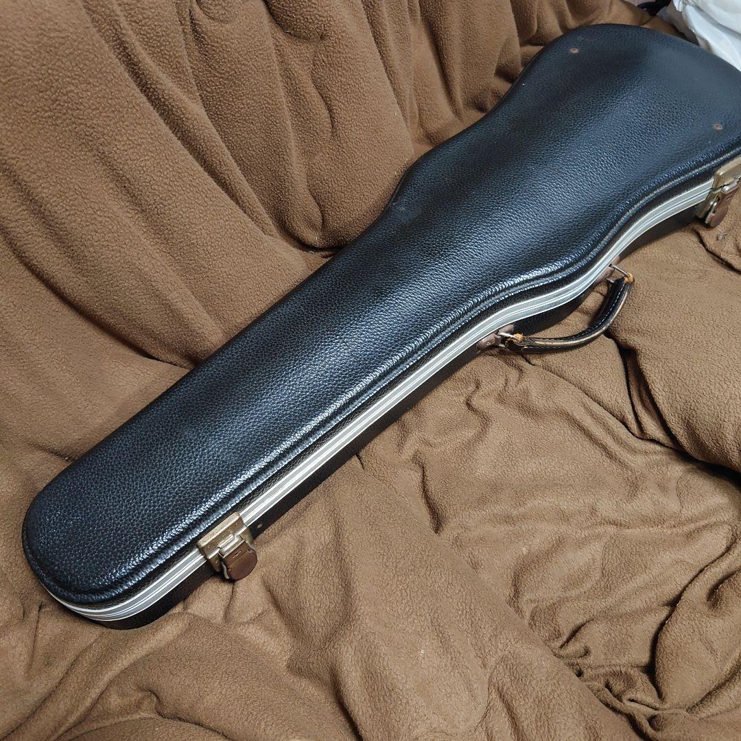 イーストマン★Ivan DunovバイオリンVL401★4/4サイズ送料無料