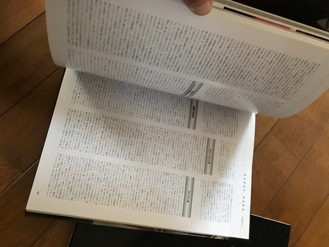 BURST GANG バーストの本 激レア ギブソン レスポール