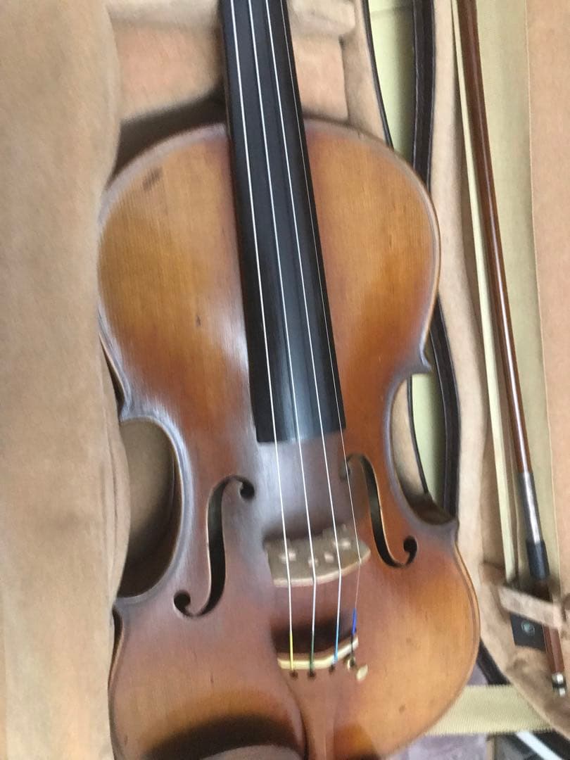 弦楽器 MASAKICCHI SUZUKI NO.5