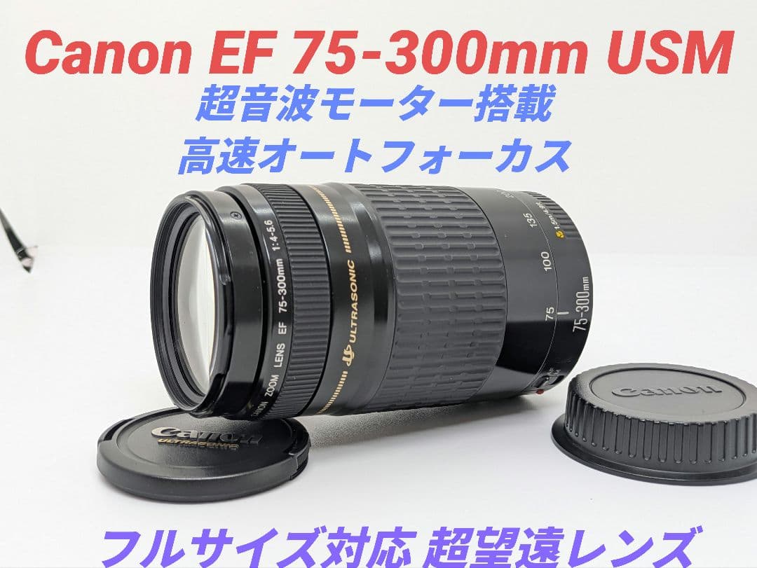 10月14日限定特価【超望遠レンズ】Canon EF 75-300mm USM