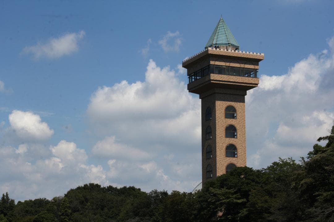 キヤノン EF50mm f1.4　標準レンズ　美的動作品(ref# 4109)