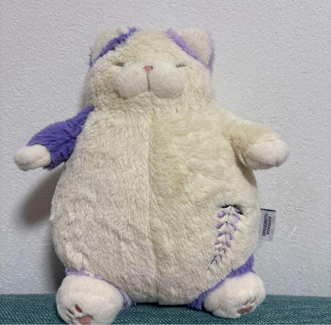 足利フラワーパー猫肯定感　猫ぬいぐるみ