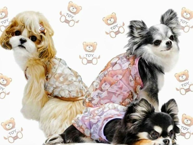 A　XS4点セット+クッション　サーカスサーカスCIRCUSCIRCUS