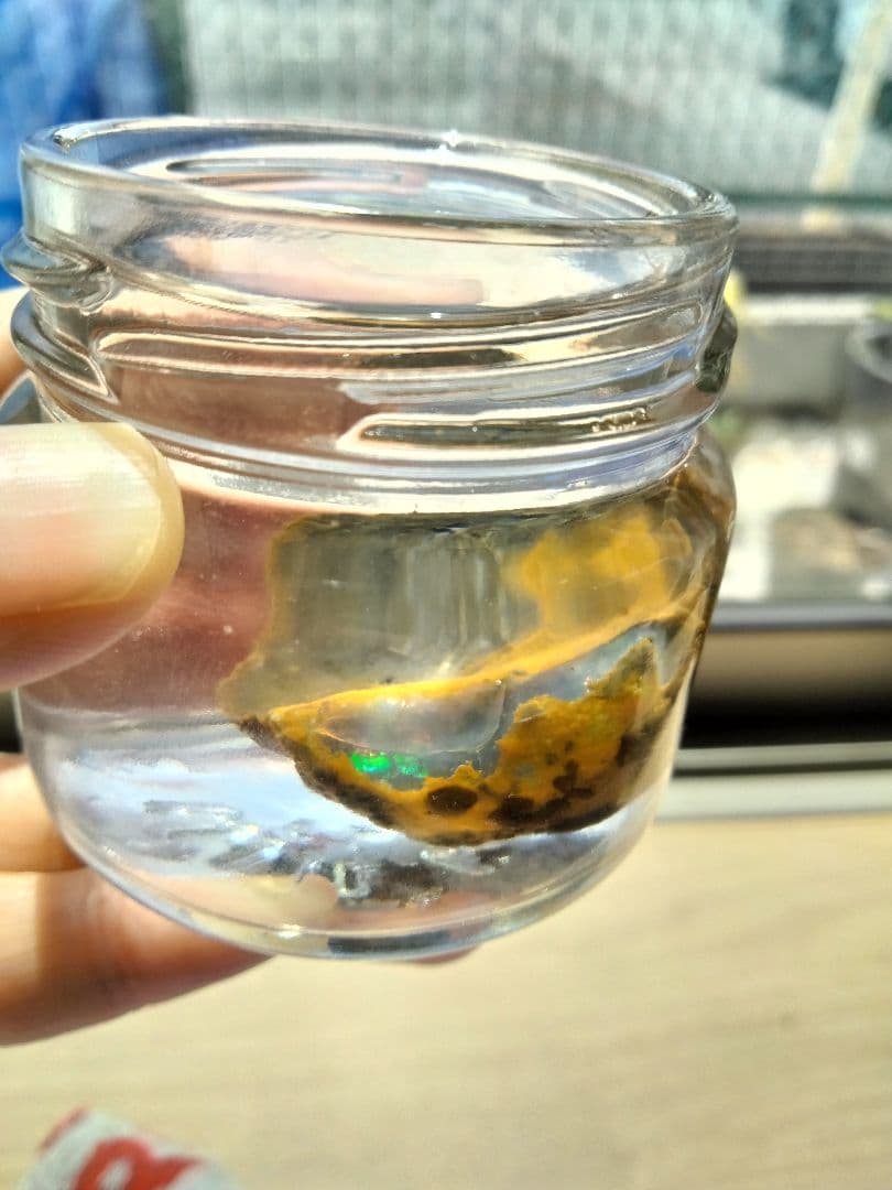 国産オパール　原石　国産　鉱物　国産鉱物　オパール　原石　美しいオパール123