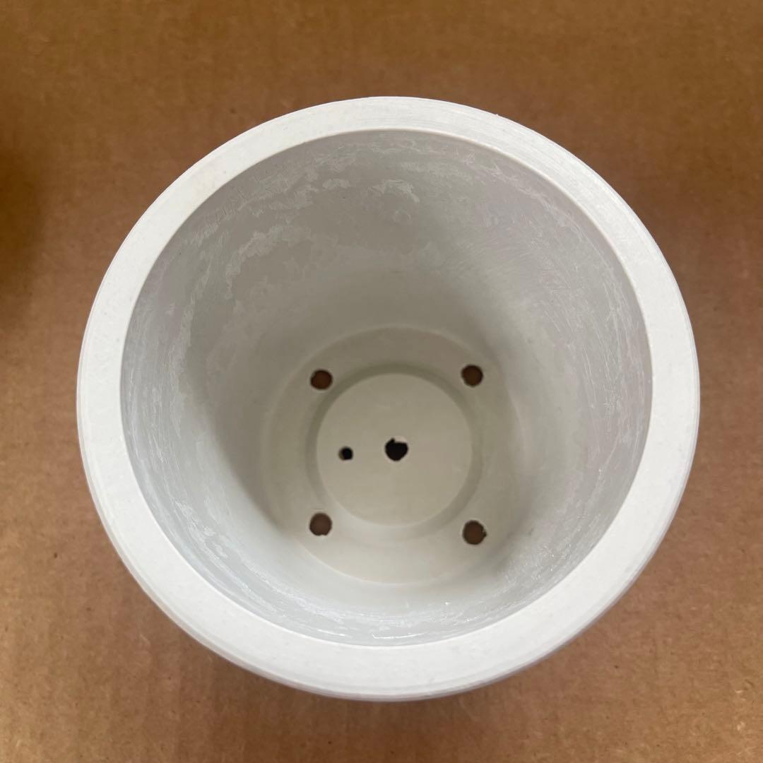 小2個セット BOTANIZE lotta ayano nakano 鉢