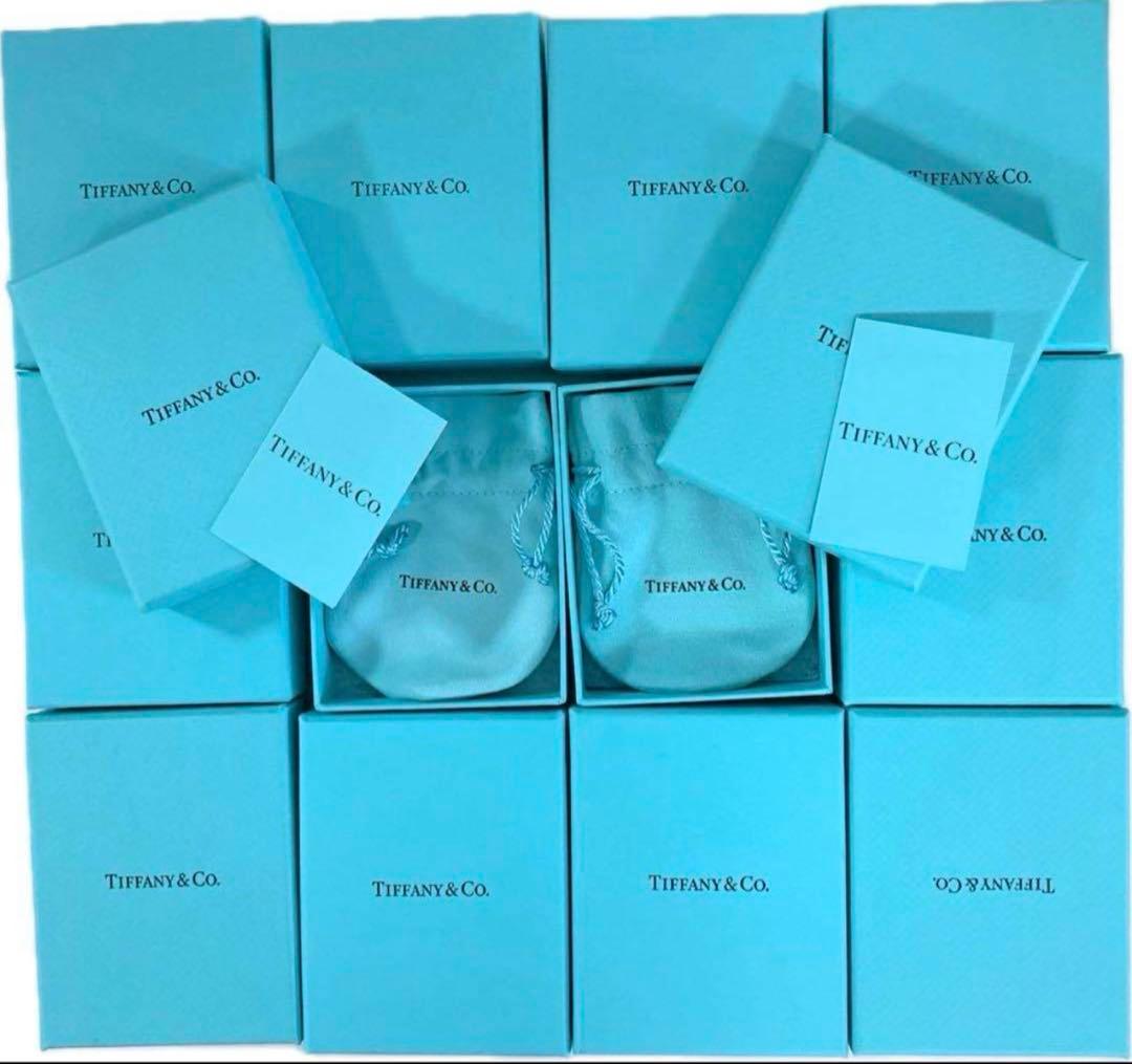 現行品Tiffanyティファニー　空箱巾着取扱説明書12セット