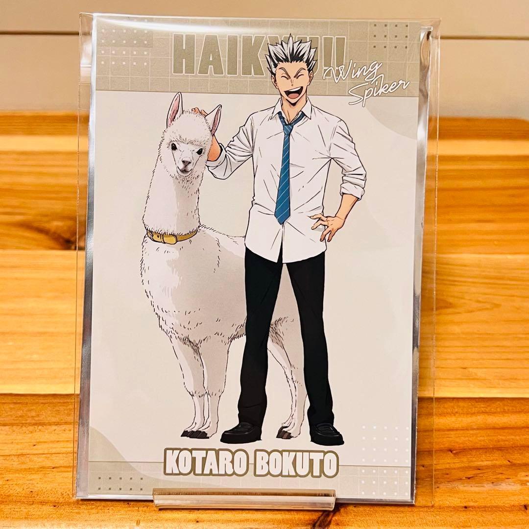 018【新品】ハイキュー 木兎 光太郎 赤葦 京治 東武動物公園 特典 非売品