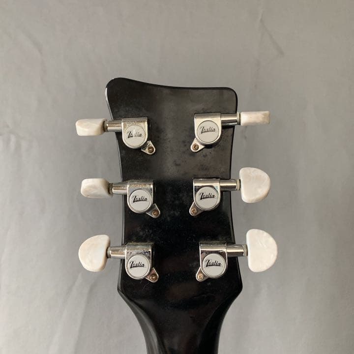 渡*輝様 Italia Guitars Mondial