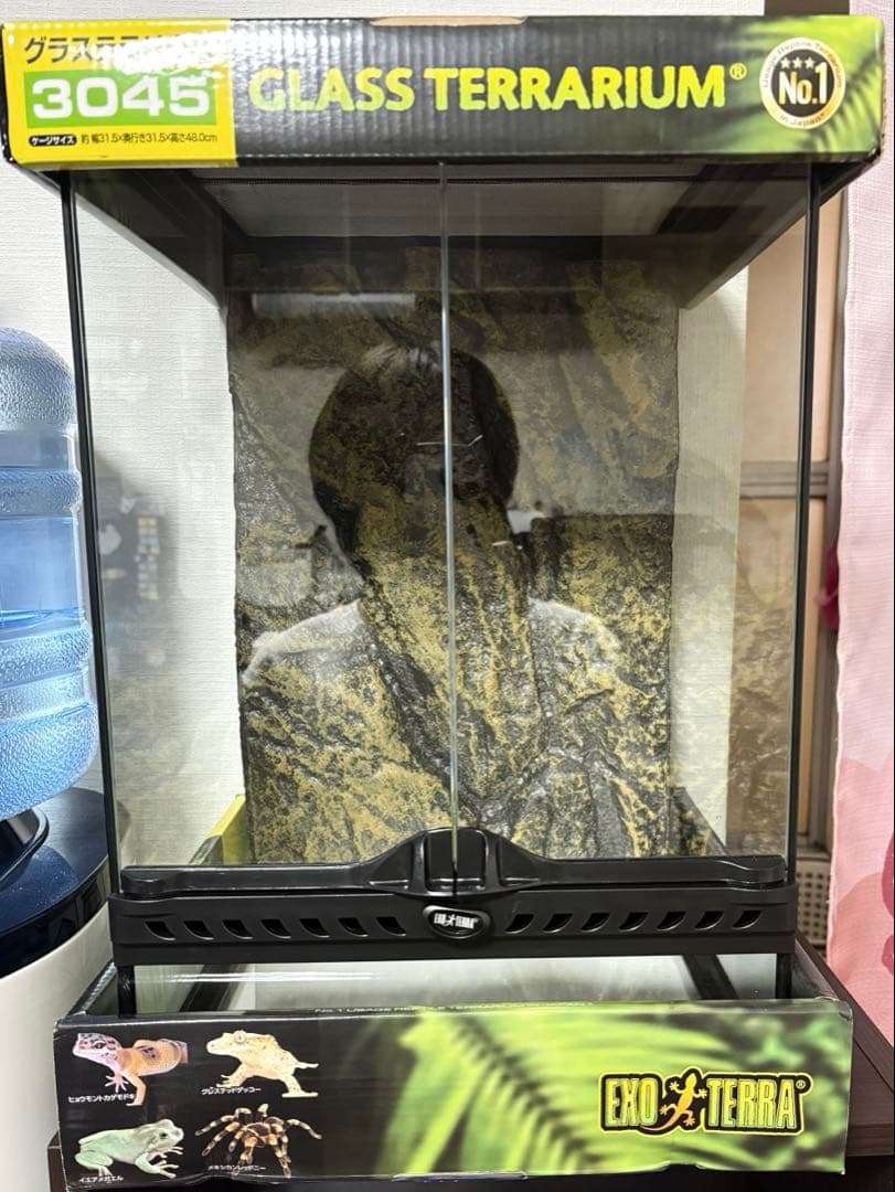 【未使用品】グラステラリウム3045 GEX