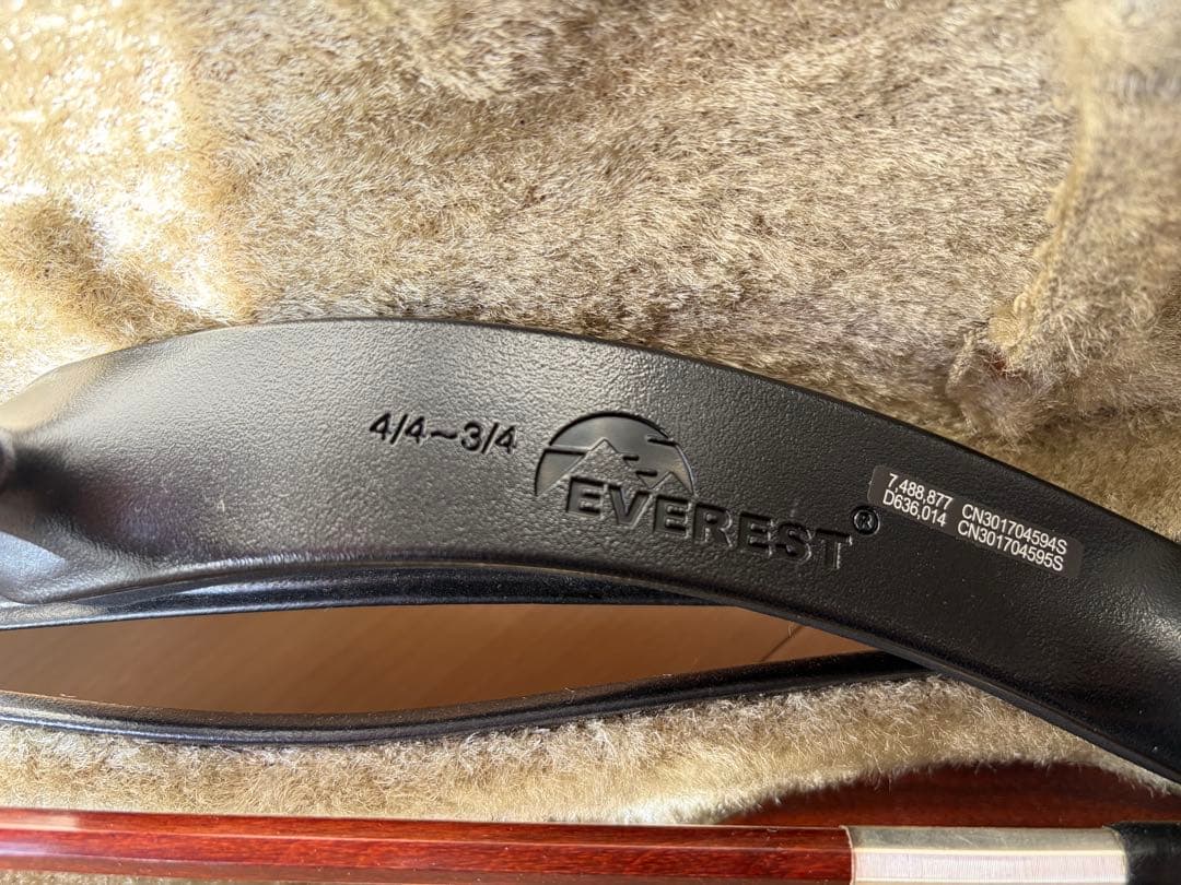 エレキバイオリン YEV-105 5弦 セット