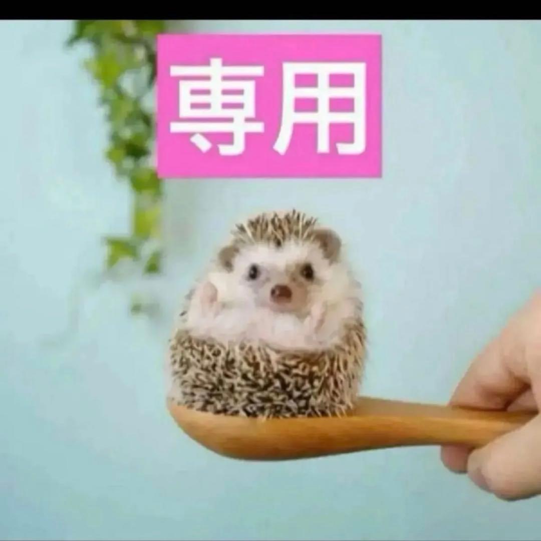 2点、コンシーラー0.5N、1CR