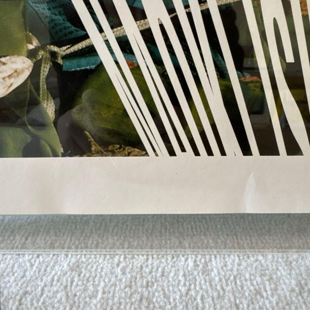 石川直樹 ポスター