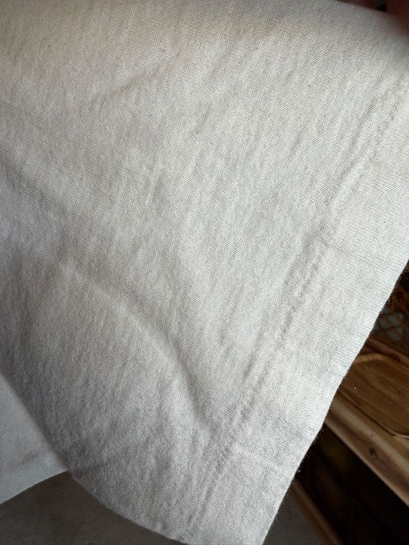 90s GRATEFUL DEAD Tシャツ 1995年ツアー L size