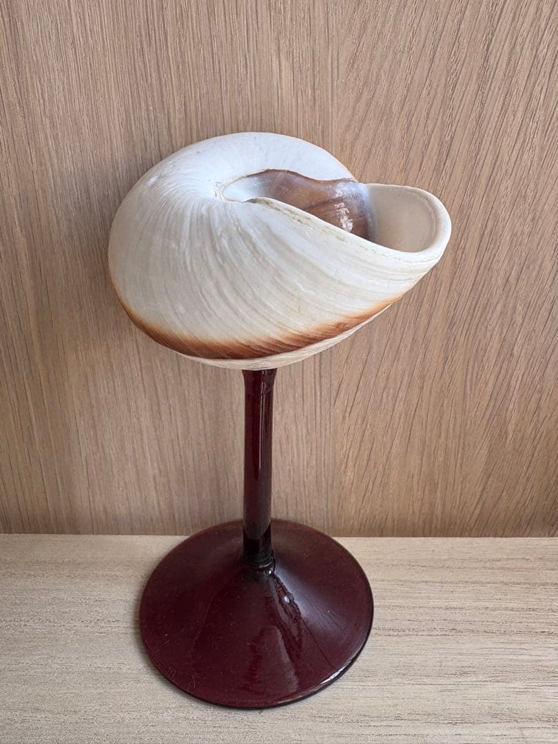 シェルグラス インテリア アクセサリースタンド