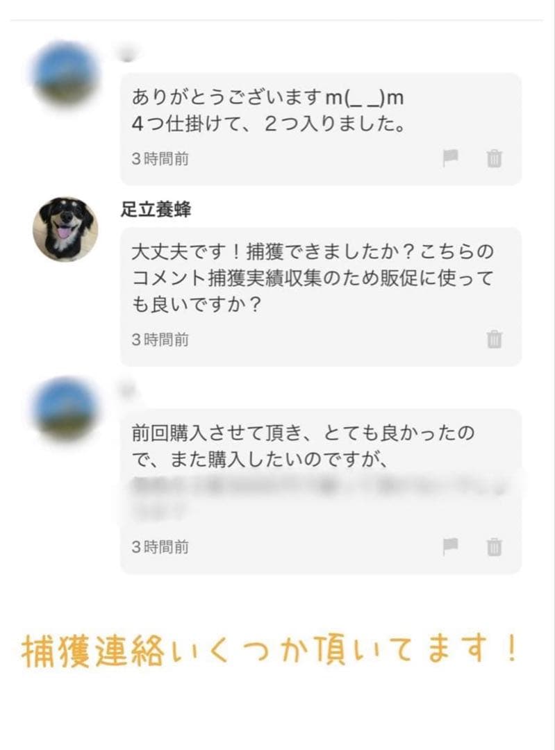 ミツバチ誘引剤 5個セット ミツバチ誘引ルアー 養蜂を始める方に