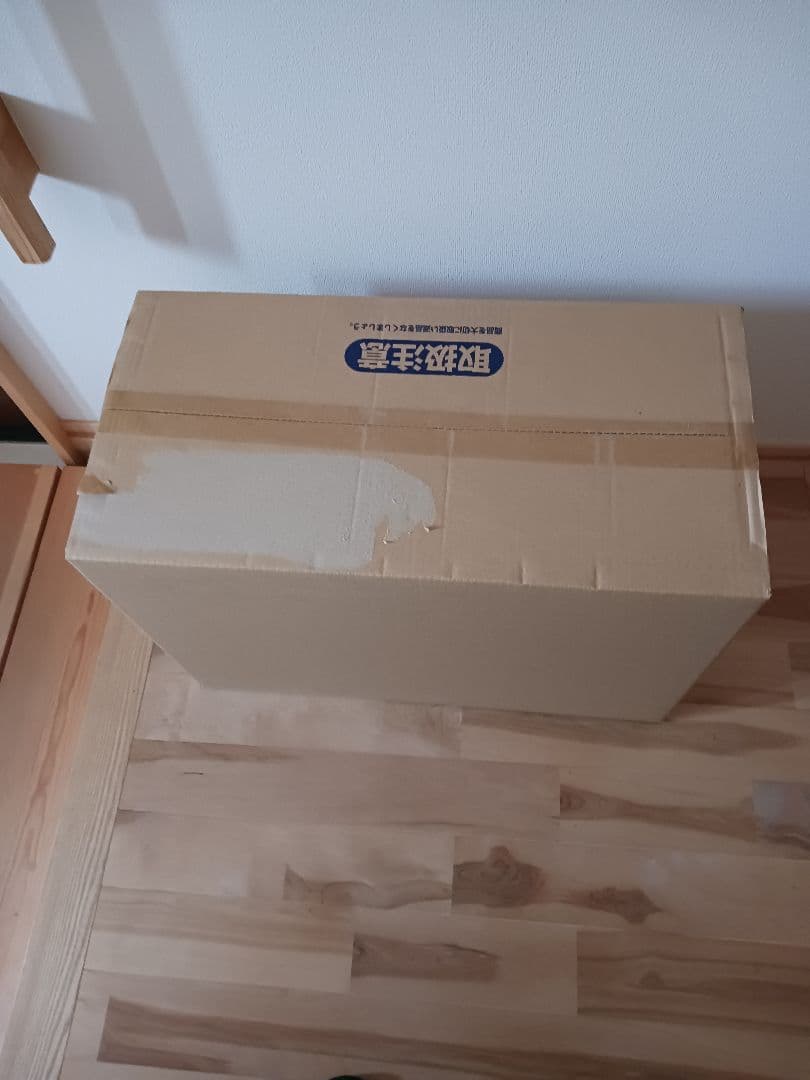 本日am限定値引　外箱ダメージ有　PG ペルフェクティビリティ