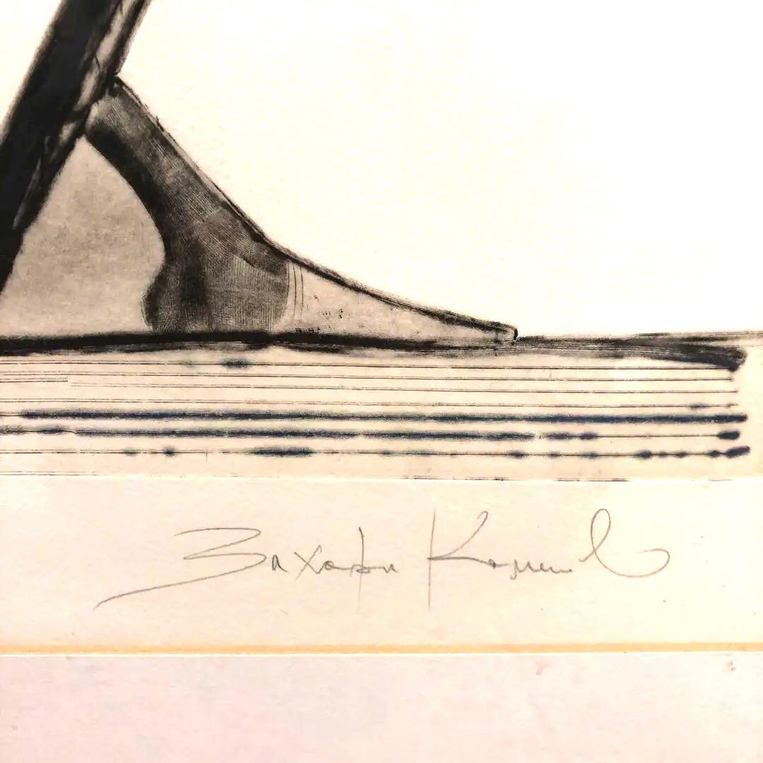 作家Zahary K amenovの作品です。