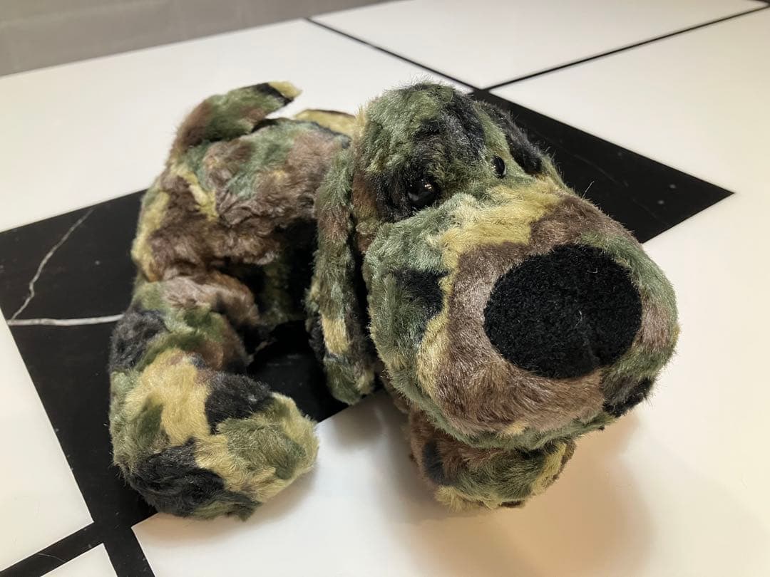 ★★ SONGです★★ 子犬のるーくL　カモフラフィールド