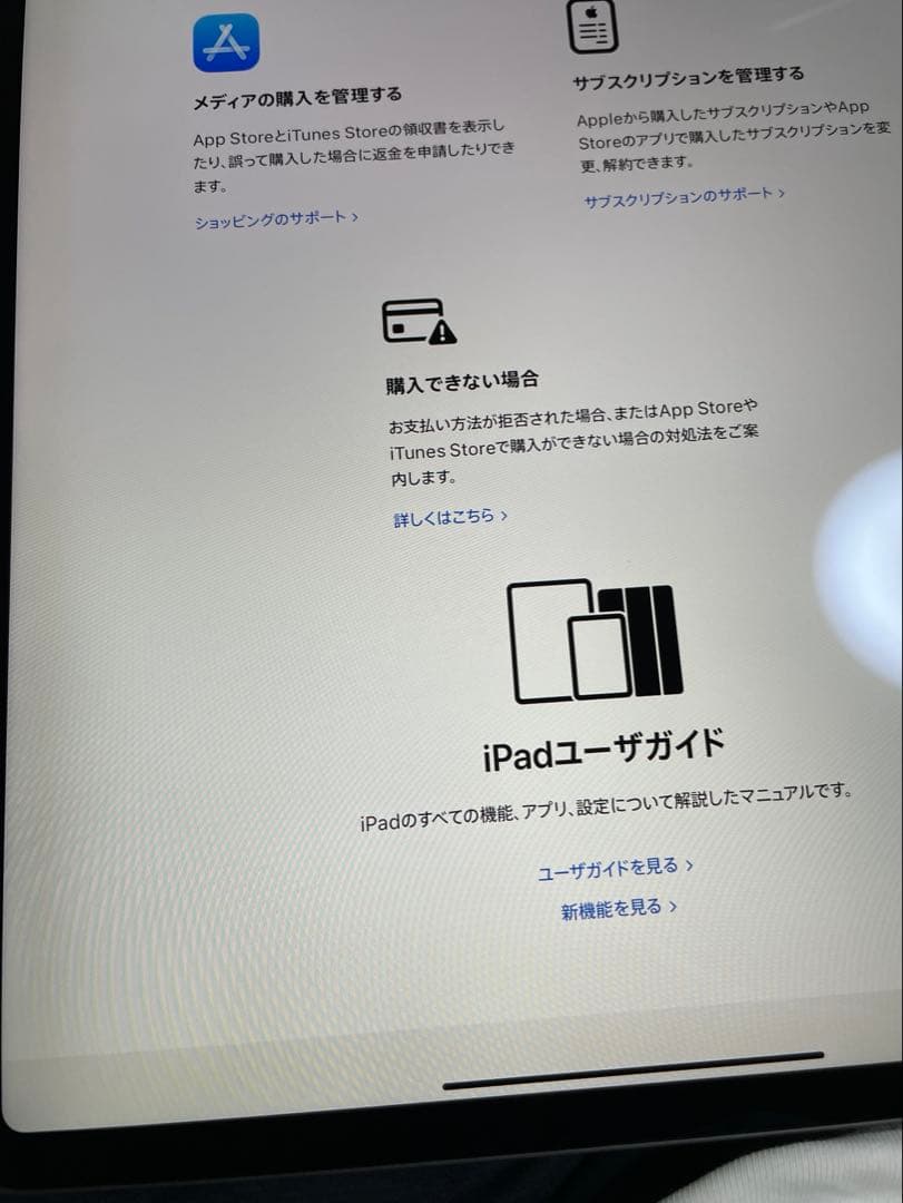 iPad Pro 12.9インチ 第4世代 256GB Wi-Fiモデル