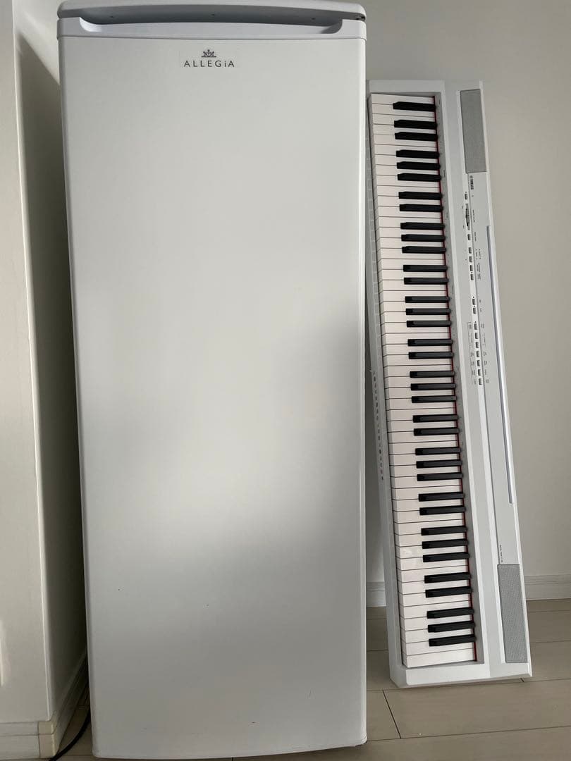 ALLEGIA スタンド式冷凍庫 自動霜取り機能付き 107L ホワイト