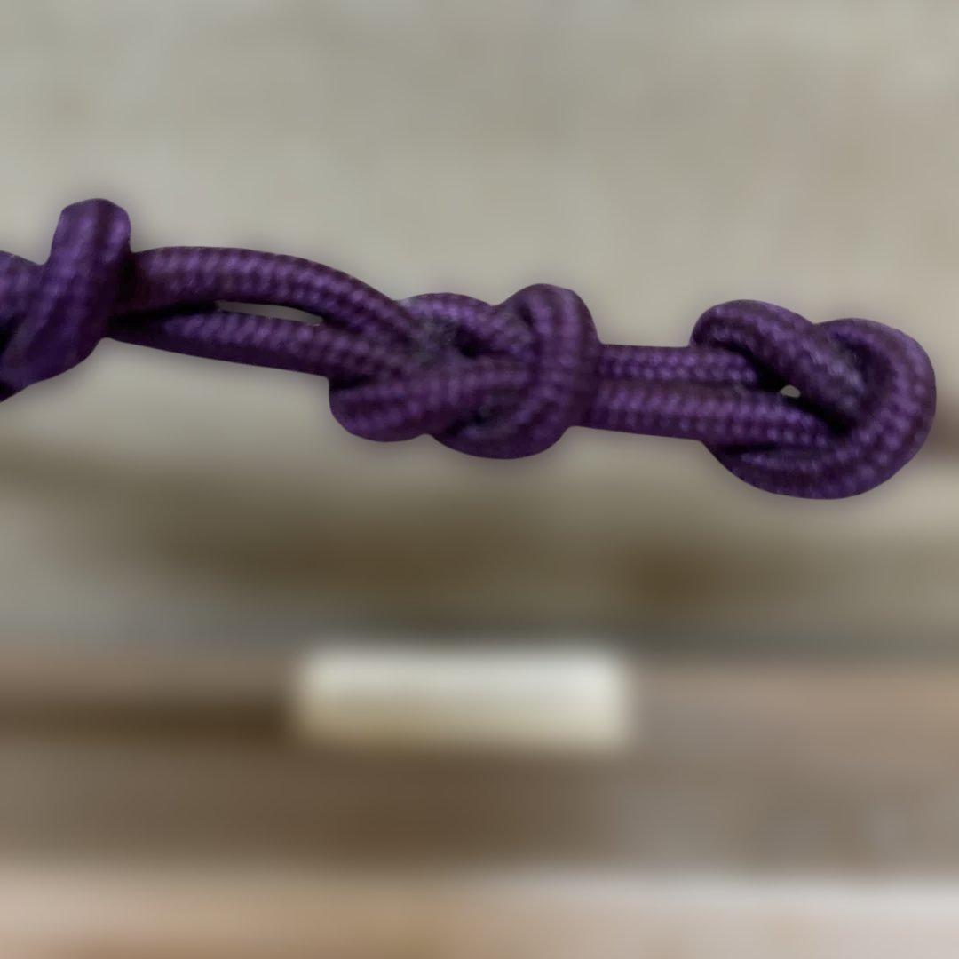 【浅間山麓の早春】木製額縁付き　【真作】絵画　辻京子　油彩８号　RE 7303