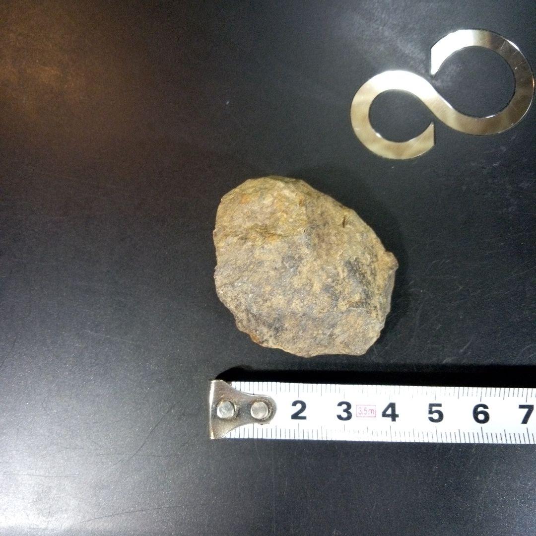 三葉虫　化石　fossil　ボリビア産　トライロバイト　Fossil番号⑩