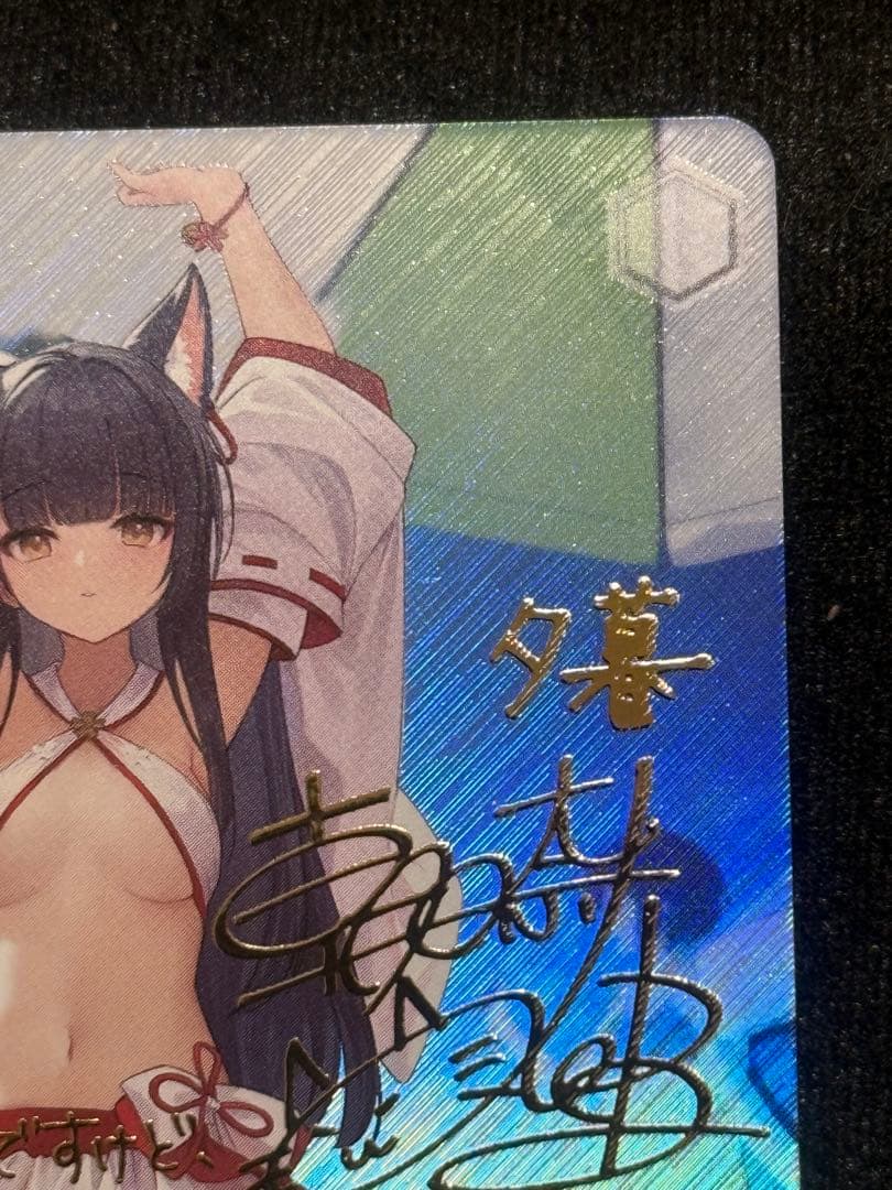 【マグネットローダー付き】夕暮　sp