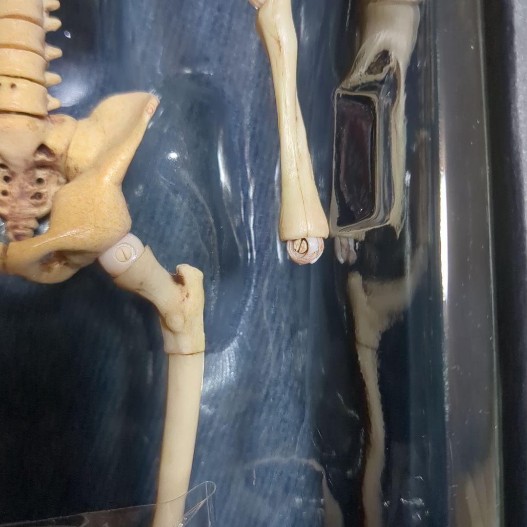 w1/6 12インチ COO MODEL スケルトンソルジャー