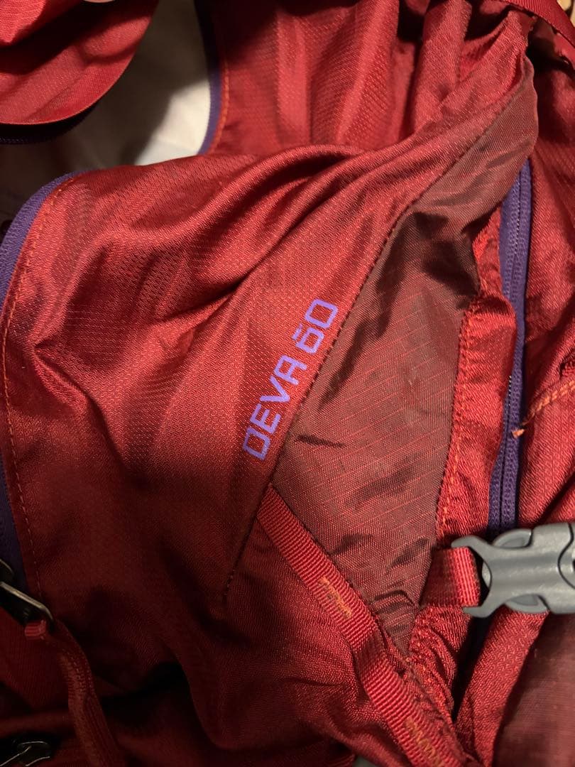GREGORY DEVA 60 バックパック バーガンディ