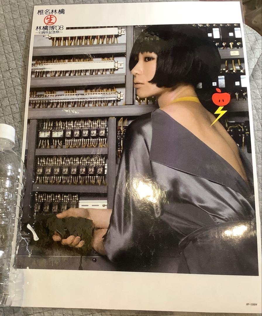 【非売品】椎名林檎　パウチポスター　8枚セット