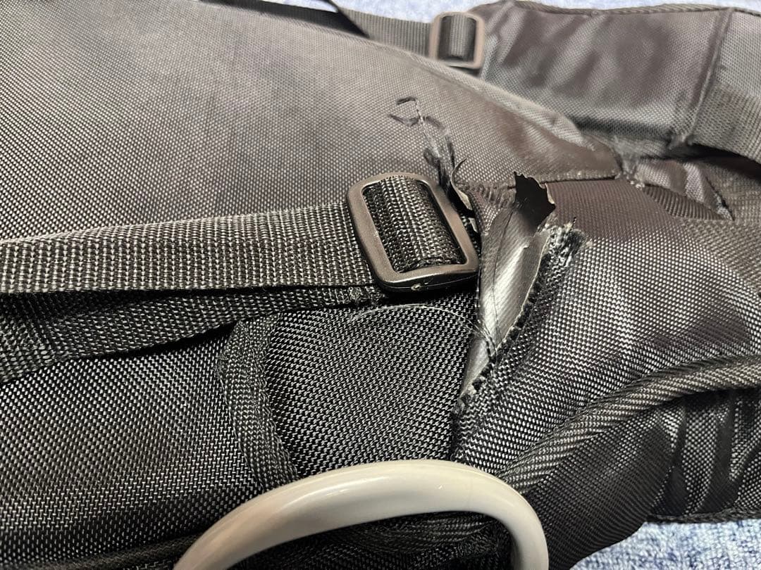 Hofner バイオリン・ベース