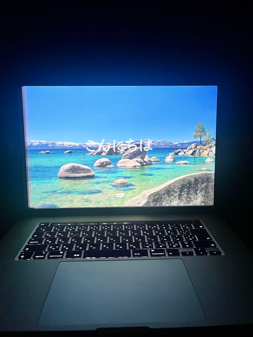 MacBook Pro 2019 core i9 32GB 1Tb ※説明必読