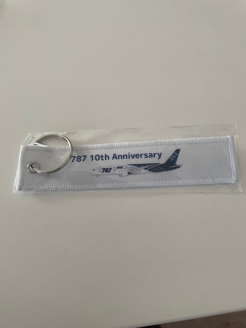 ANA フライトタグ　キーホルダー　希少　787便就航10周年記念