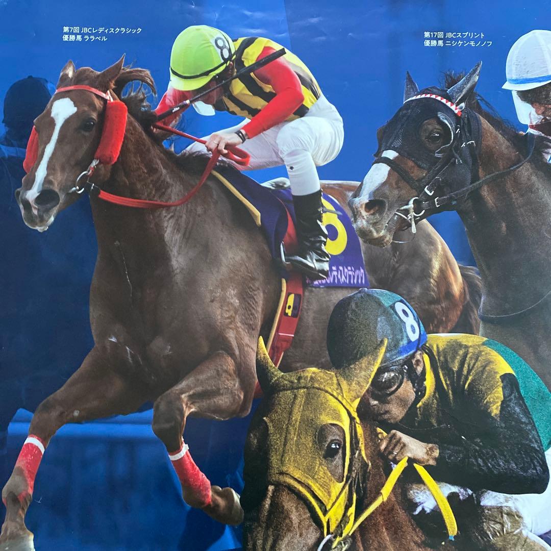 JRA 2018KYOTO競馬場JBC特大ポスター