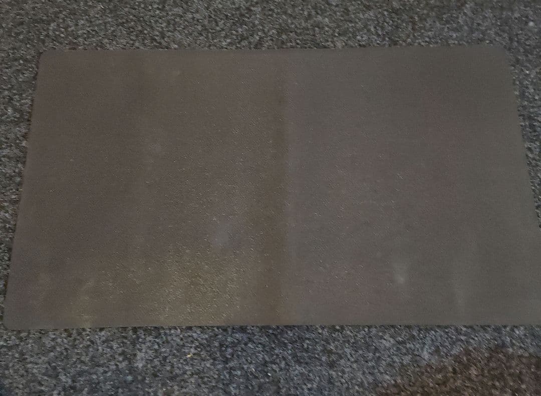 意志の力 プレイマット サイン入り MTG Terese Nielsen