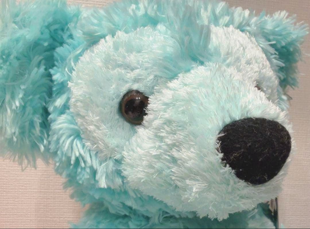 WDW ダッフィー ディズニーベア カラーダッフィー ミント