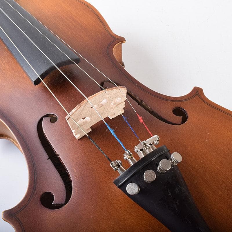 弦楽器　バイオリン　ハルシュタット　ハードケース付　F　R7934C