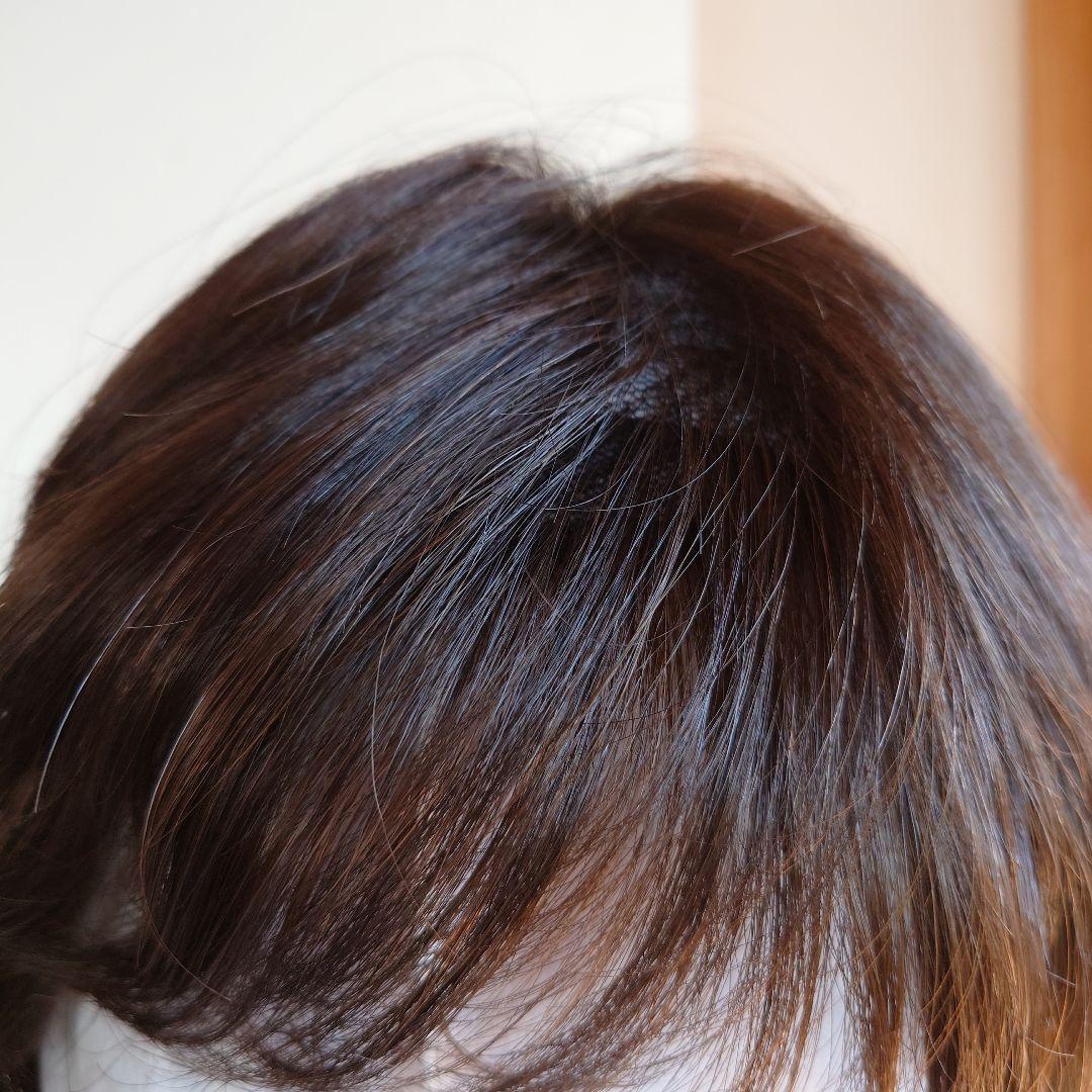 【新品未使用】レオンカEX-15 F2（ 栗色～栗黄色）ウイッグ