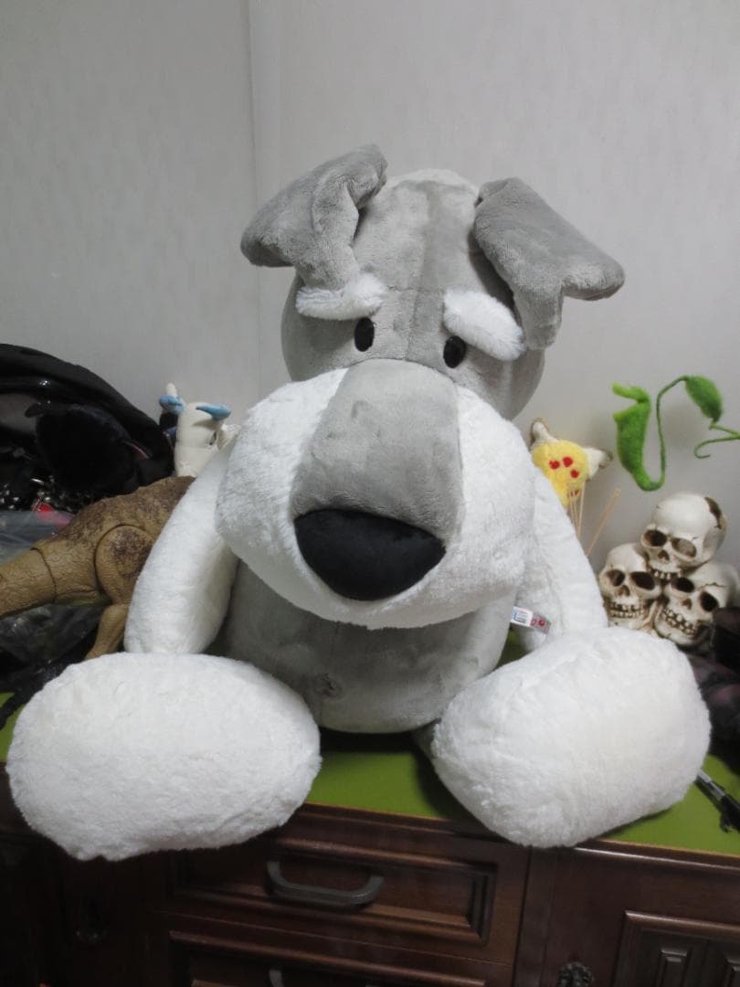 【限定品】NICI　ニキ　シュナウザー　ぬいぐるみ　驚愕！80㎝！正規品