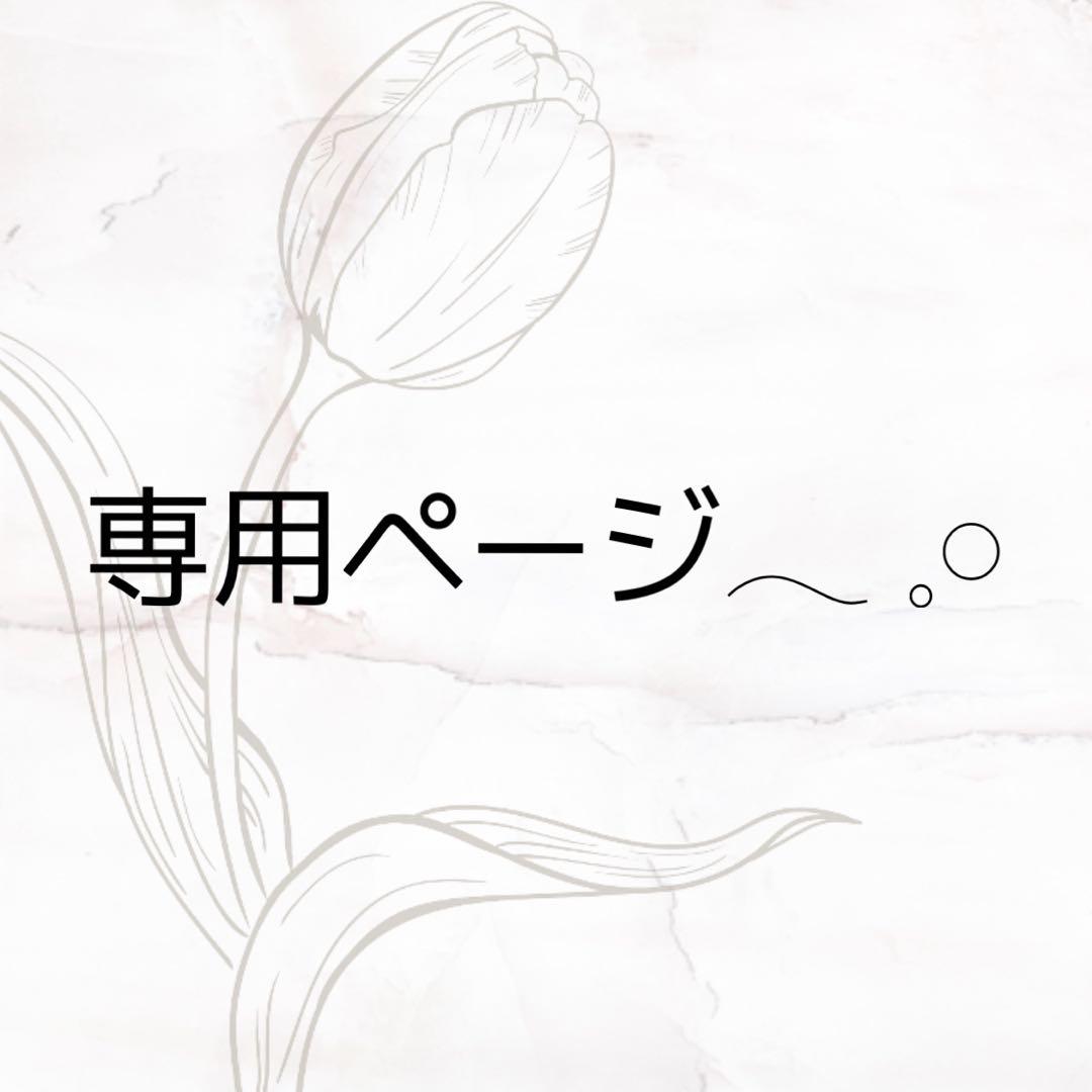 パレちゃん☆　ページ