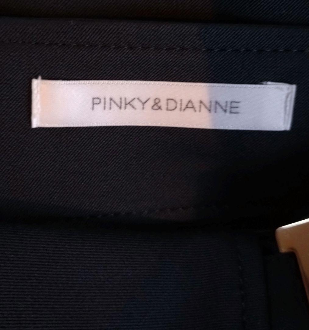 【専用出品】ピンキーアンドダイアン　メタルプレートタイトスカート