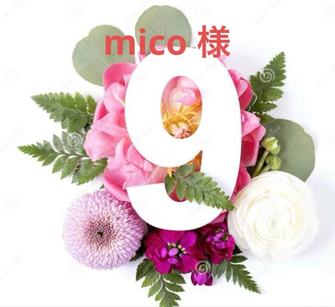 micoページ