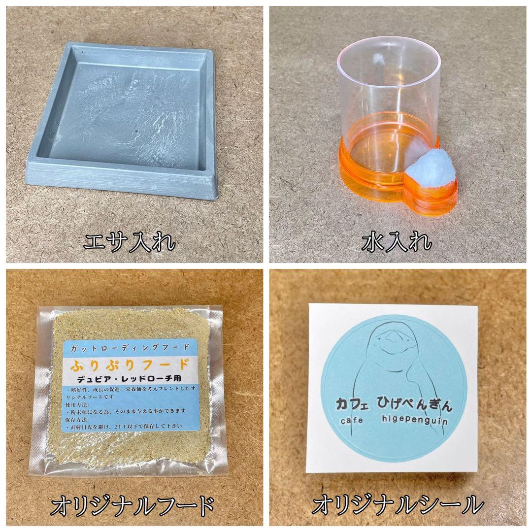 がくじん様　S (シェ)