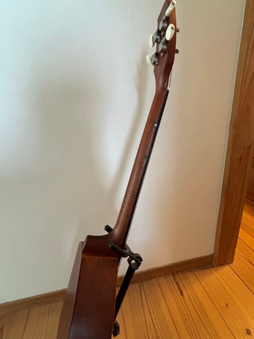 ヤイリ 一期一会 音来(ニライ)ソフトケース付き