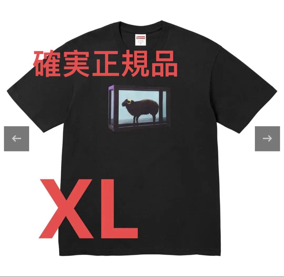 トップス Supreme Damien Hirst Tee \