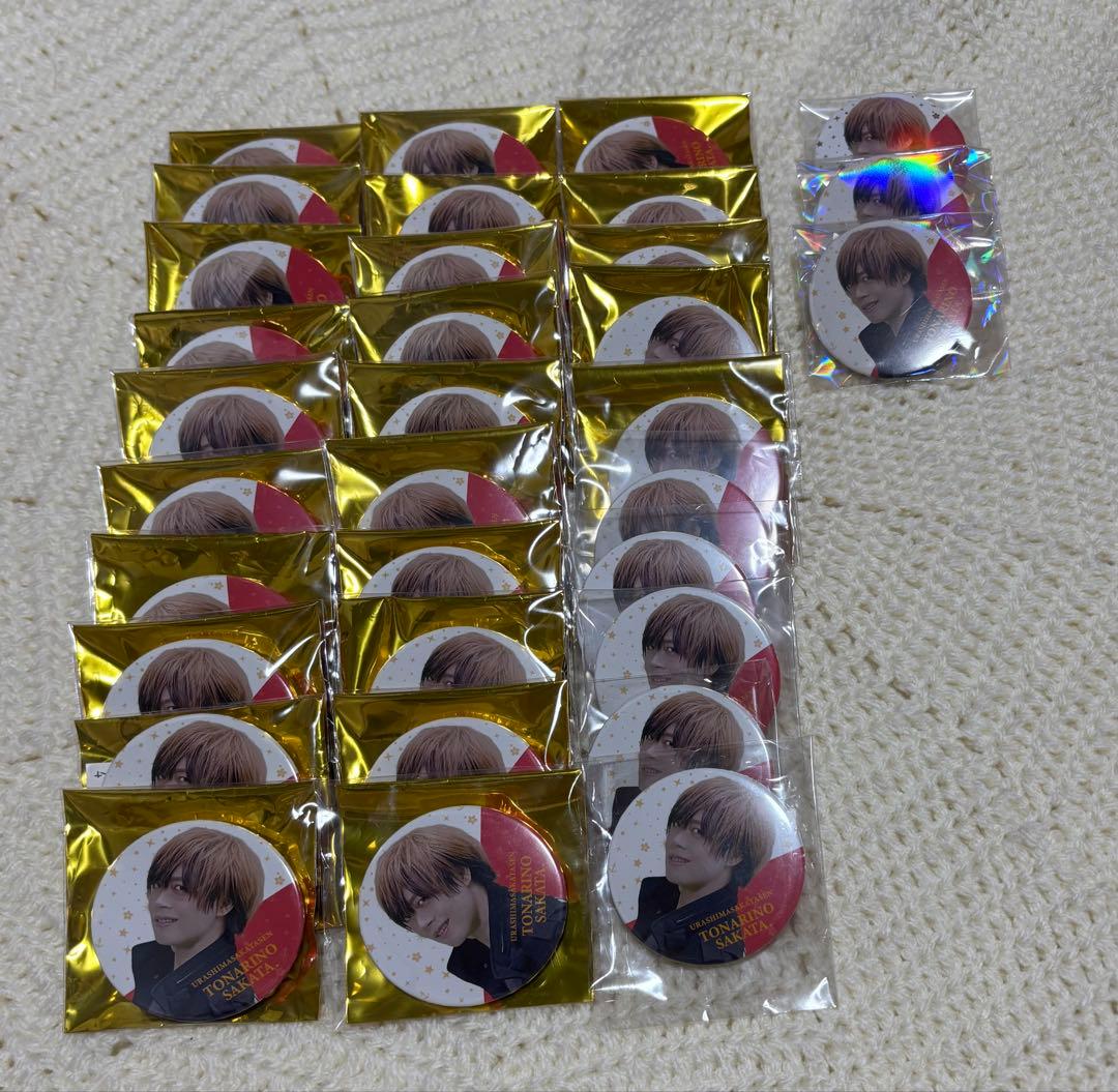 浦島坂田船 となりの坂田 あほの坂田 メモリアル 缶バッジ 実写 ベル美